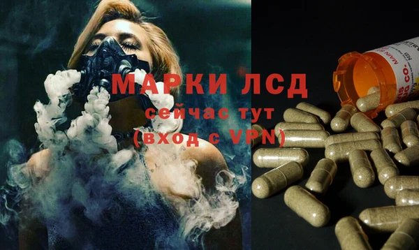гидропоника Алексеевка