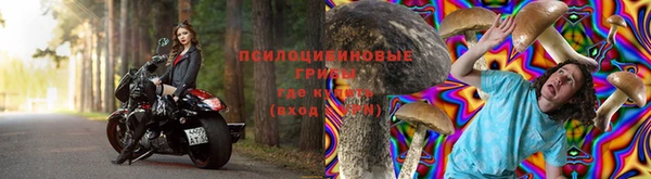 гидропоника Алексеевка