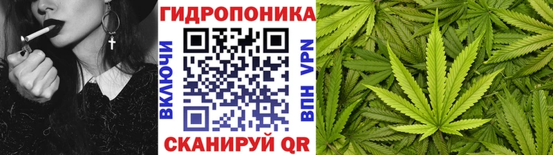Канабис конопля  Звенигово 